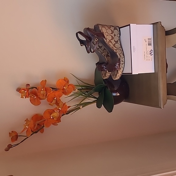 Coach Robina Vacchett Wedge Sandal - Picture 3 of 16